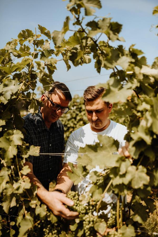 Kultur Weingut Kaestenburg Ratsch an der Weinstrasse Exterior foto